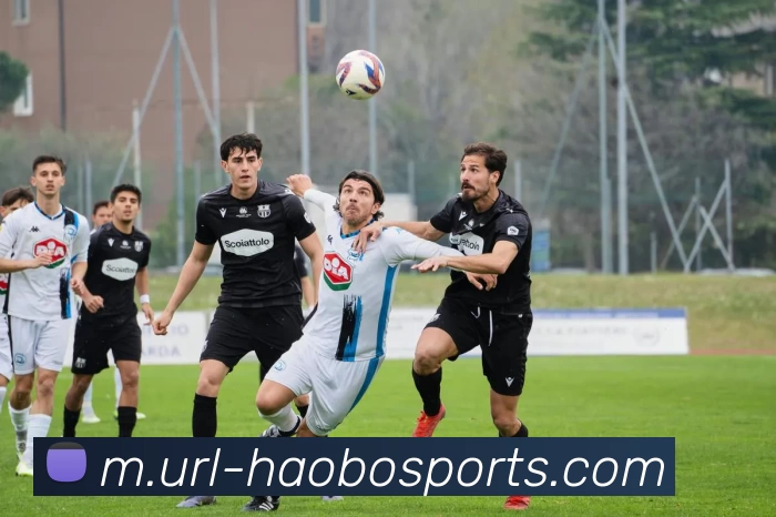 App Interface Preview